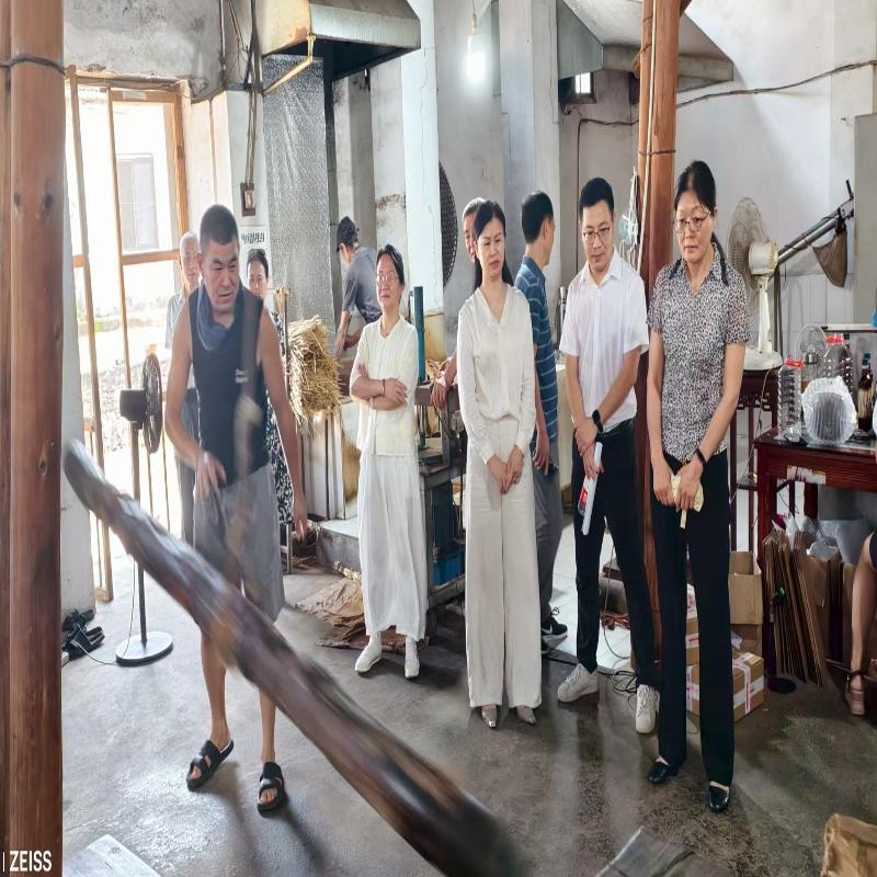 区人大常委会开展非物质文化遗产情况专题调研